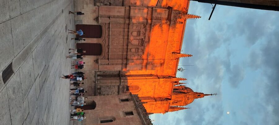 Salamanca: University and Colleges Walking Tour (Private) - Key points at a glance