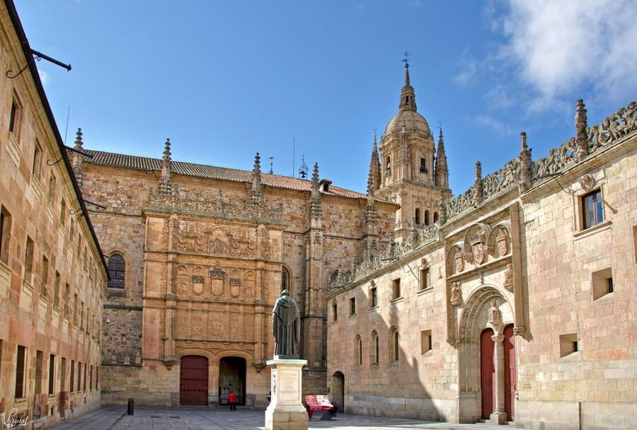 Salamanca: University and Colleges Walking Tour (Private) - Why Salamanca’s university quarter matters