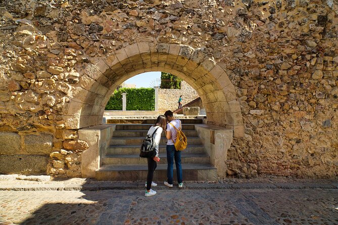 Segovia and Avila Day trip from Madrid with Gourmet Lunch - The guide makes or breaks the day
