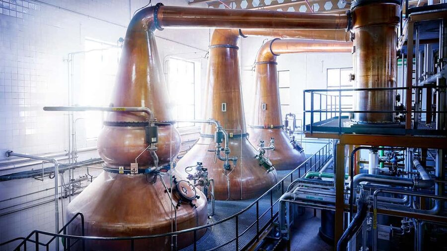 Segovia: DYC Distillery guided visit with whiskey tasting - Following fermentation and distillation