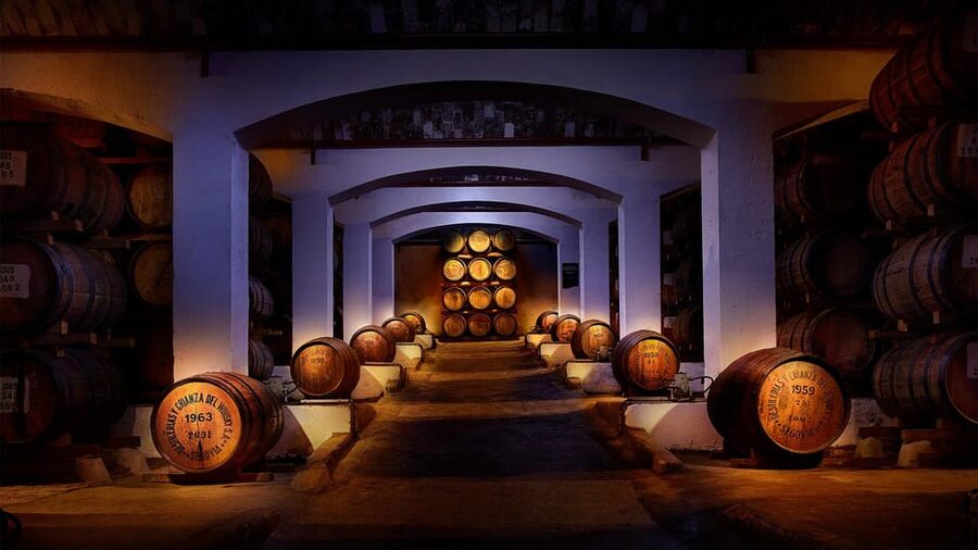 Segovia: DYC Distillery guided visit with whiskey tasting - Tasting three DYC whiskies