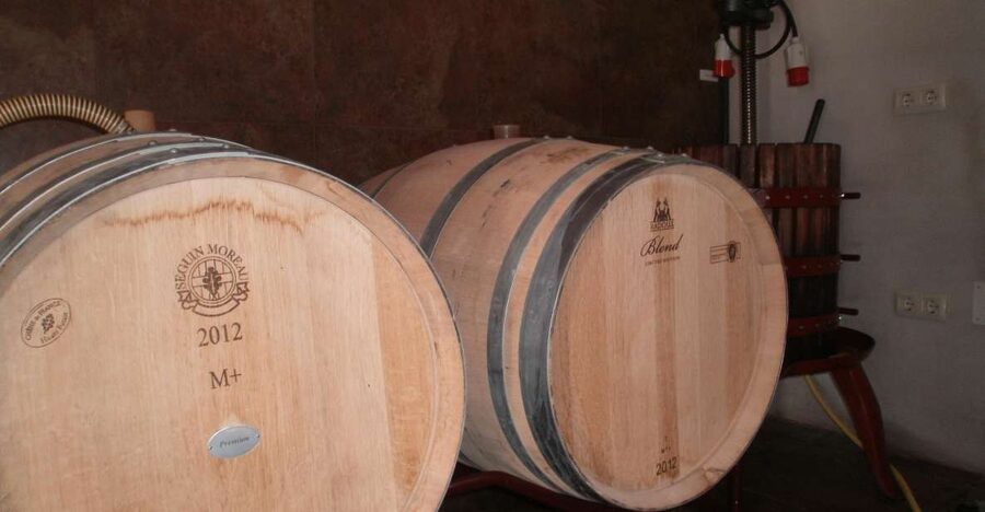 Segovia: Winery Tour with Wine Tasting - Key points at a glance