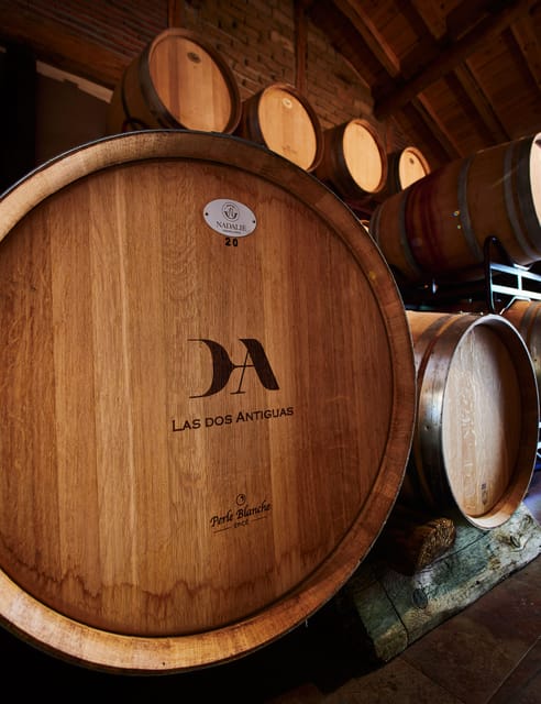 Segovia: Winery Tour with Wine Tasting - Why this small winery makes sense after Segovia