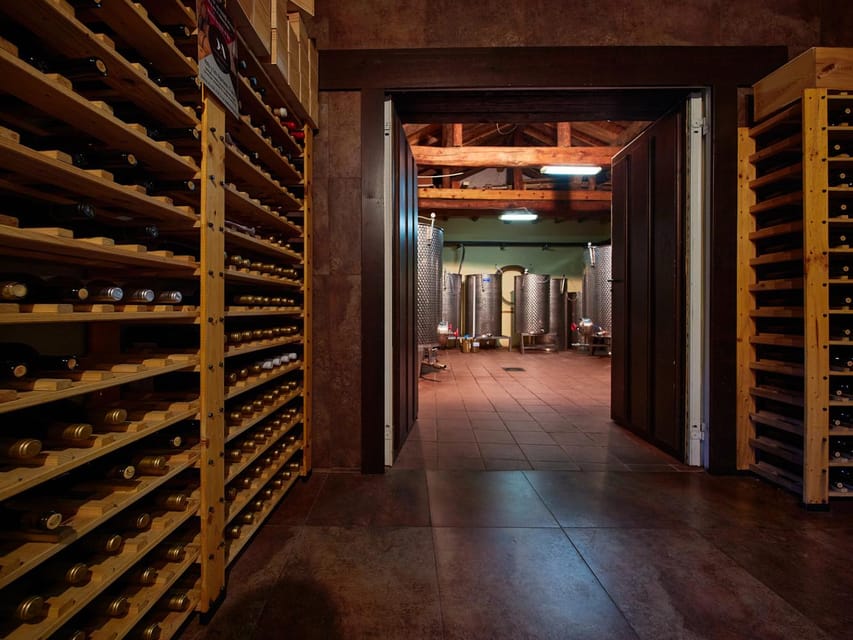 Segovia: Winery Tour with Wine Tasting - What the guide adds to the visit
