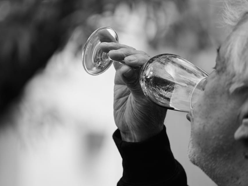 Segovia: Winery Tour with Wine Tasting - Timing, cost, and the transport question