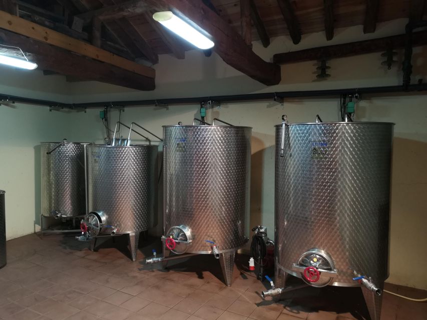 Segovia: Winery Tour with Wine Tasting - Arriving at C. Real, 17 in Navas de Oro