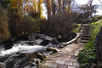 Segovia with Alcazar Guided Tour by High-Speed Train from Madrid