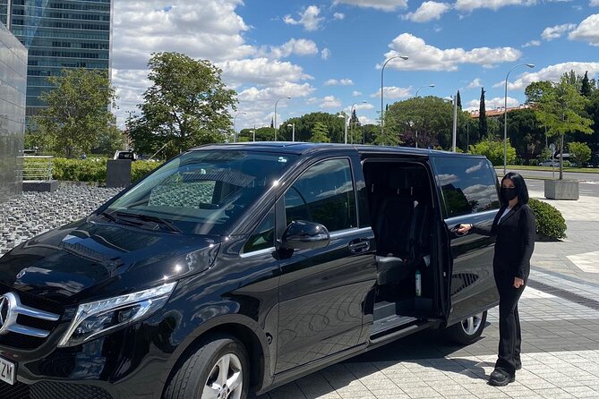 Shuttle Transfer Arrivals: Madrid Airport to City Center - Key points to know before booking
