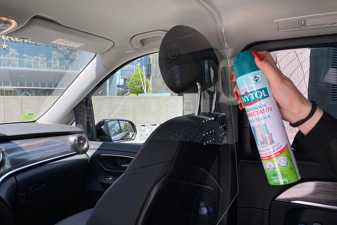Shuttle Transfer Arrivals: Madrid Airport to City Center - Why the group price can make sense