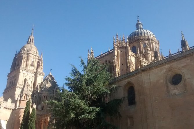 The Best of Salamanca (English) - Starting in Salamanca’s grand Plaza Mayor