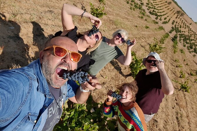 Toledo small group, Winery, Windmiils, Lunch included. - Why this day works so well from Madrid