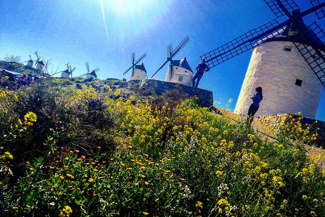 Toledo small group, Winery, Windmiils, Lunch included. - Don Quixote country and the Consuegra windmills