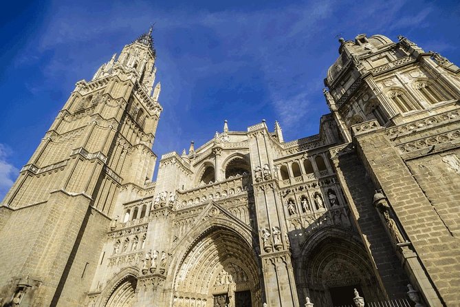 Toledo Tour & Vineyard Walk with Wine Tasting from Madrid - The vineyard near Bargas