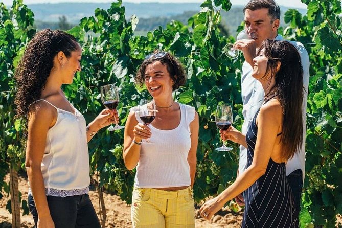 Toledo Tour & Vineyard Walk with Wine Tasting from Madrid - Toledo’s old town and Jewish Quarter