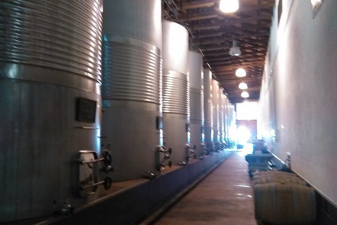 Toledo, Windmills, Winery Small Group Tour with Lunch from Madrid - A small minivan makes a big difference