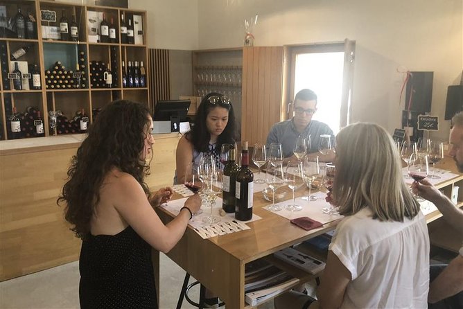 Windmills of Don Quixote Wine Tour & Tasting from Madrid - Cervantes and Dulcinea stops may add another layer