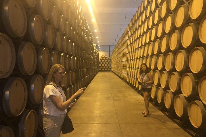 Windmills of Don Quixote Wine Tour & Tasting from Madrid - Who will enjoy this day most?